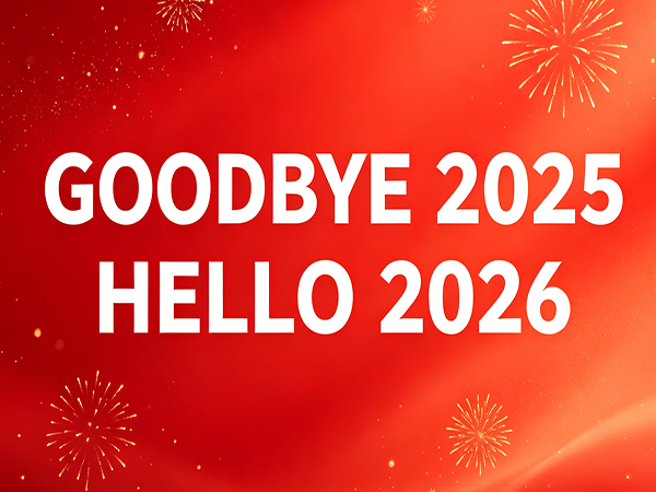 GoodBye 2025